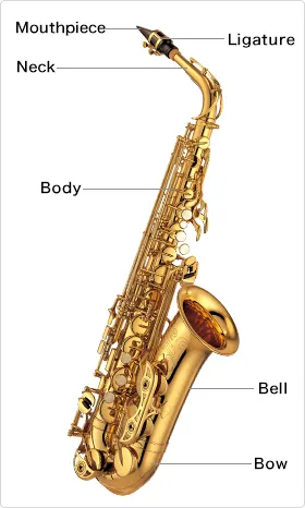 Aufbau des Saxophons